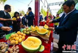 湖北最新吃瓜爆料新闻,揭秘神秘事件背后的真相