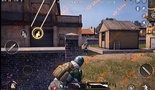 和平精英大爆料最新版,全新版本揭秘，精彩内容抢先看！