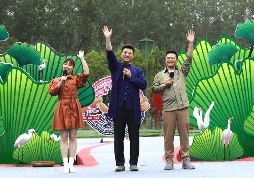 香港爆款最新爆料视频,最新热门爆料瞬间回顾