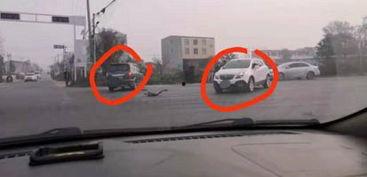 杞县于镇车祸最新爆料,悲剧现场细节披露，调查进展及伤亡情况揭晓