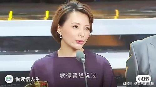 最新娱乐明星情感爆料视频,明星情感纠葛大揭秘！