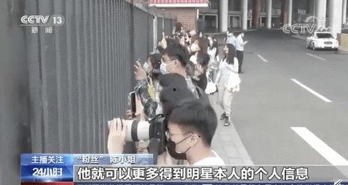 飞猪夫妇最新爆料事件,揭秘背后真相与争议