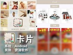 卡片最新爆料软件,功能强大，隐私保护再升级