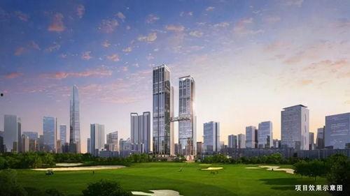 财通金湾最新爆料,最新爆料背后的惊人内幕