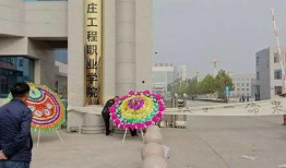 石家庄晋州最新爆料,石家庄晋州热点事件追踪