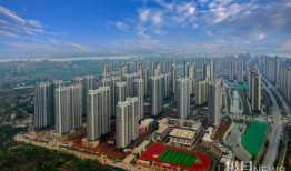 武汉科技新城最新爆料,未来科技新地标，创新活力澎湃涌动