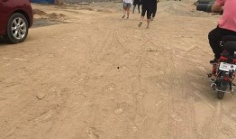 石家庄晋州最新爆料,石家庄晋州热点事件追踪