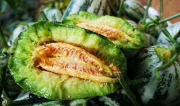 tai9最新吃瓜爆料,tai9最新吃瓜爆料，娱乐圈风云再起！