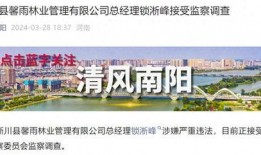 河南南阳市最新爆料,揭秘南阳市最新动态与热点事件