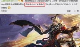 王者荣耀最新策划爆料,策划揭秘新版本核心调整与未来发展方向