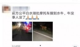 公平镇最新爆料信息,揭秘背后惊人真相