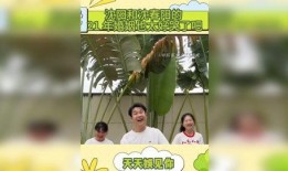 最新新闻八卦爆料视频,最新八卦爆料视频幕后真相大曝光！