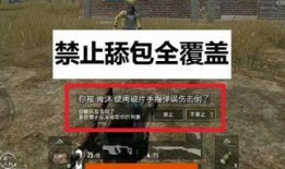 光子大爆料最新版本,揭秘科技前沿，探索未知领域