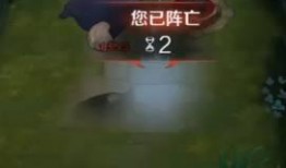 猫咪技能爆料大全最新,最新爆料大全深度解析