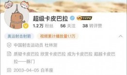 卡哥最新爆料视频下载,行业动态大揭秘！