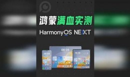 纯血鸿蒙系统最新爆料,前沿科技与未来生态的完美融合