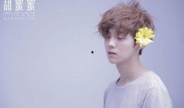 港媒爆料鹿晗视频大全最新,港媒揭秘精彩瞬间大盘点”