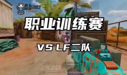 使命召唤职业比赛最新爆料,神秘战队崛起，巅峰对决即将上演！