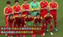 中国队最新爆料消息,备战国际赛事，展现国家风采